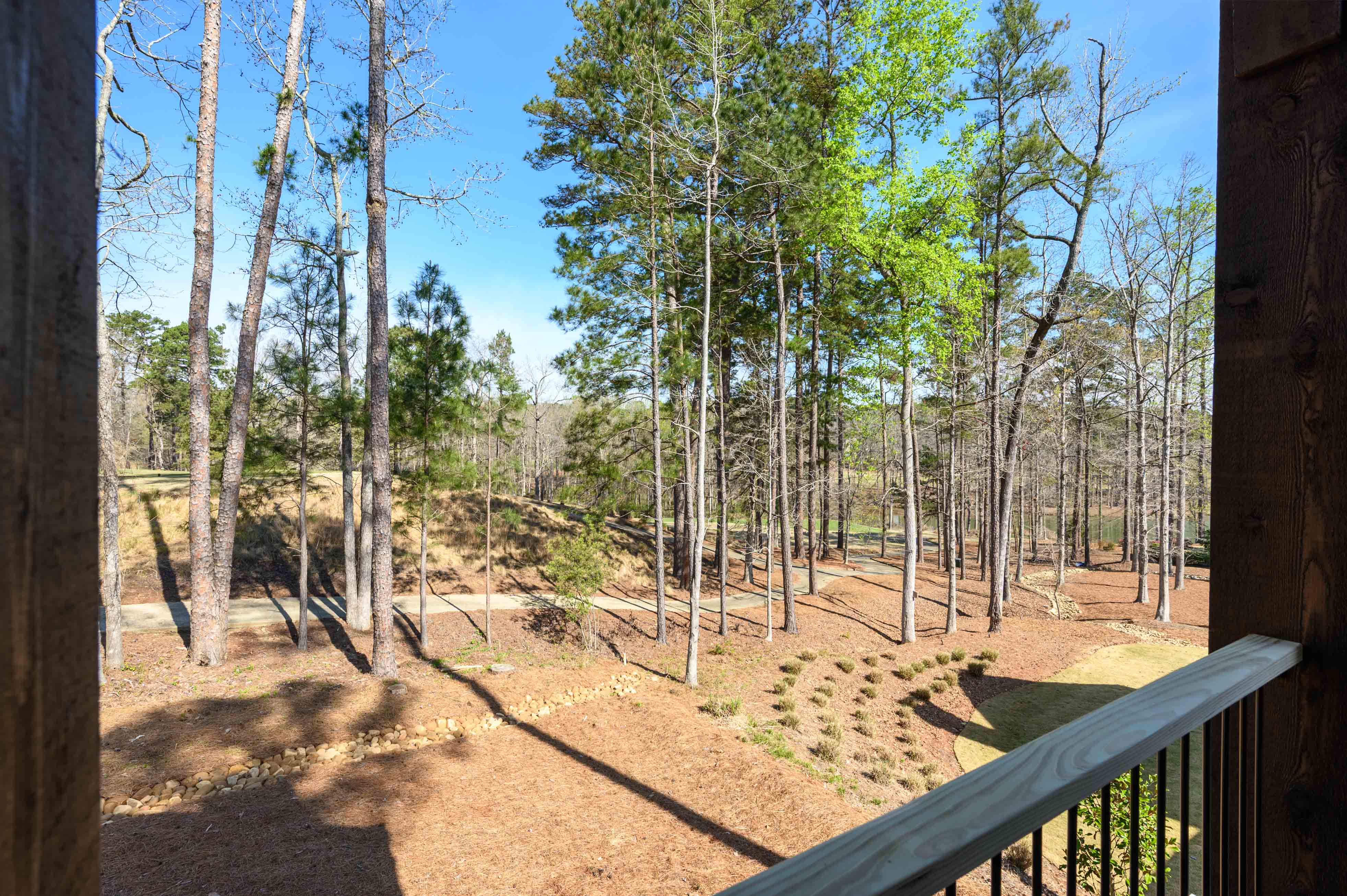 1100 Curtright Place image 29